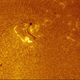 Illustration for article titled Solar Eruptions Captured By DiY Astronomer